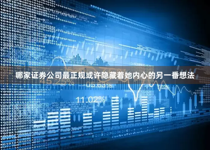 哪家证券公司最正规或许隐藏着她内心的另一番想法
