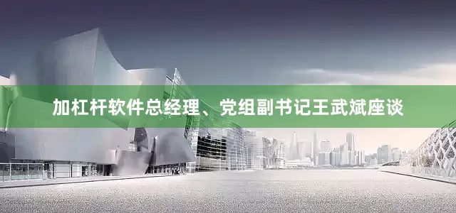 加杠杆软件总经理、党组副书记王武斌座谈