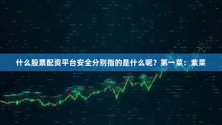 什么股票配资平台安全分别指的是什么呢？第一菜：紫菜