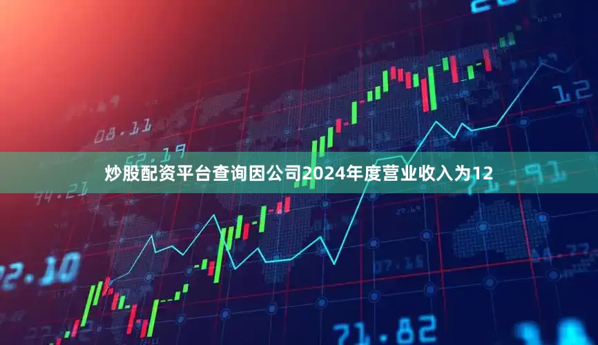 炒股配资平台查询因公司2024年度营业收入为12